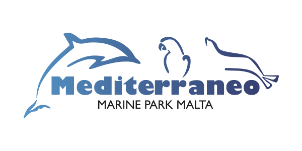Mediterraneo